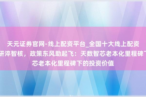 天元证券官网-线上配资平台_全国十大线上配资平台 全栈自研淬智核，政策东风助起飞：天数智芯老本化里程碑下的投资价值